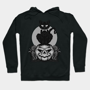 Sir Fancy Kitty! Hoodie